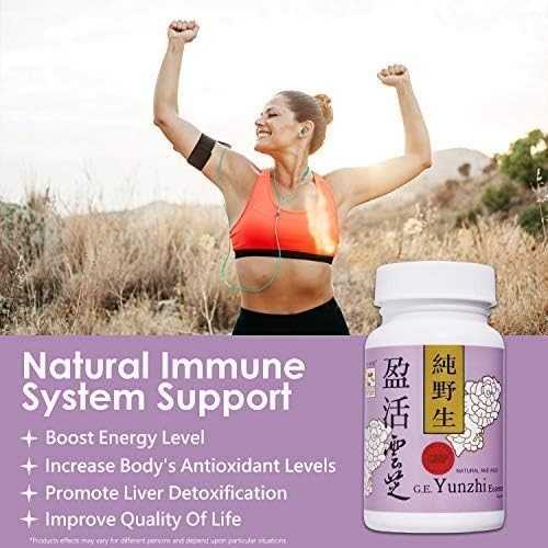 土耳其尾巴蘑菇膠囊 – Yunzhi Essence 用於恢復、健康和健康 – 每日免疫和消化支持,含抗氧化劑 – 來自水果體的純β-葡聚醣提取物(60 粒膠囊)